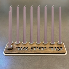 חנוכיה עוד יהיה אור 